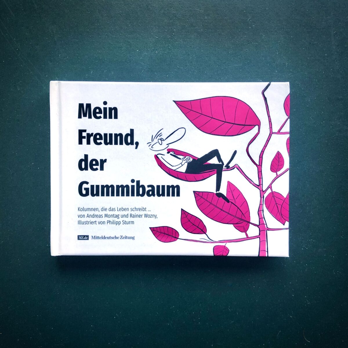 Mein Freund der Gummibaum