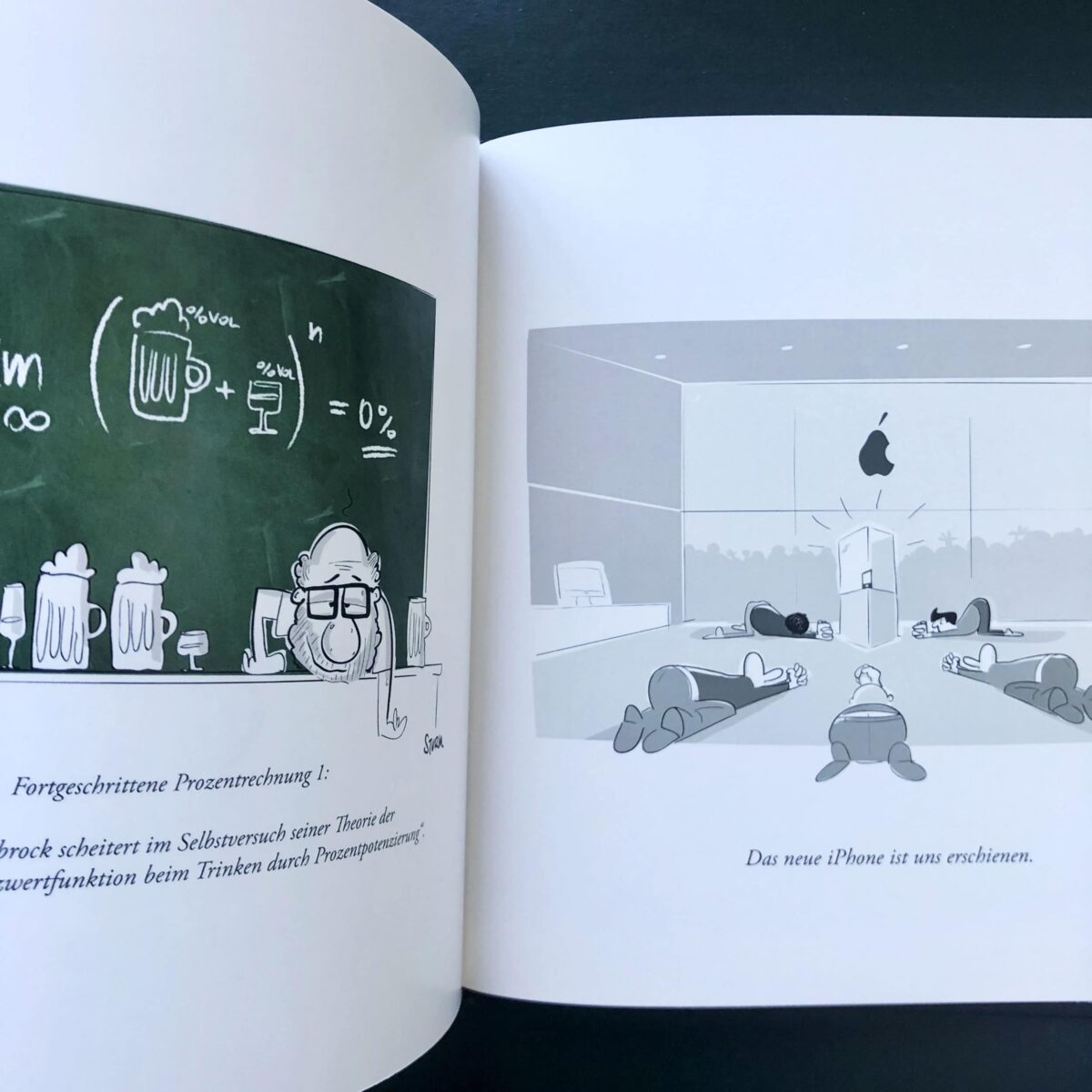 Buch Cartoons 2009 - 2019 von Philipp Sturm Innenansicht