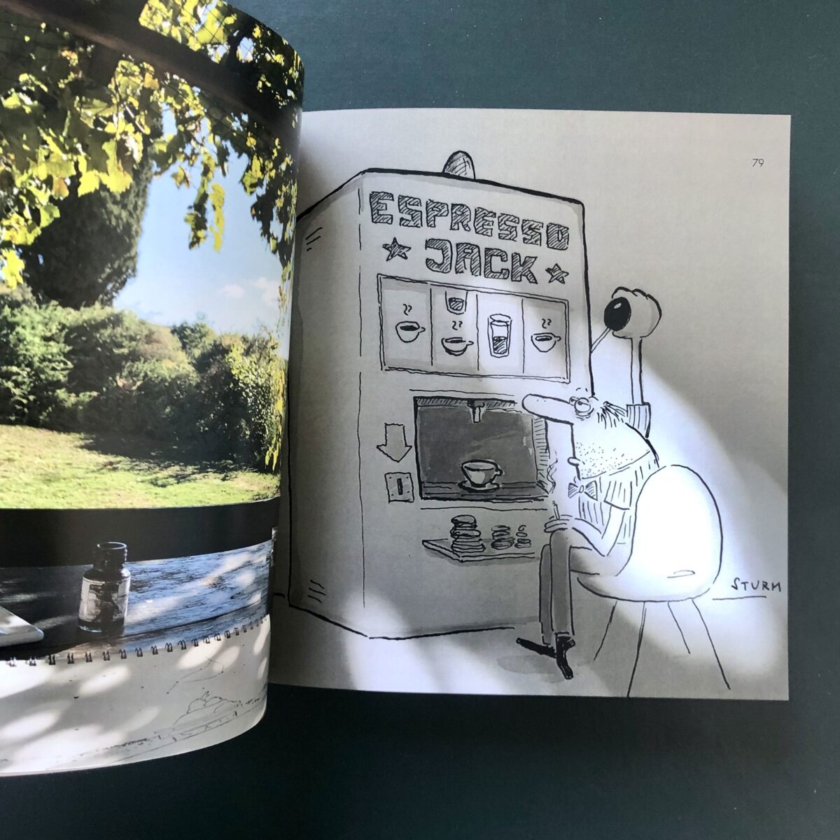 Buch Cartoons 2009 - 2019 von Philipp Sturm inside view