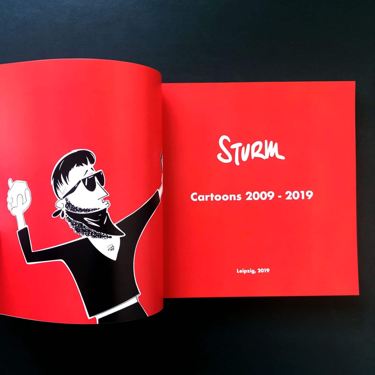 Buch Cartoons 2009 - 2019 von Philipp Sturm Innenansicht